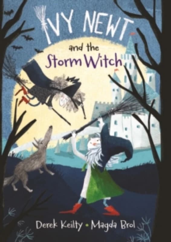 Ivy Newt and the Storm Witch Paperback / softback
