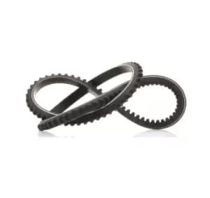 SKF V Belt VW,AUDI,FORD VKMV 10AVx730 026145271,028145271K,1039797 Fenner Belt 95VW3F572CA,026145271,028145271K,026145271,028145271K,026145271