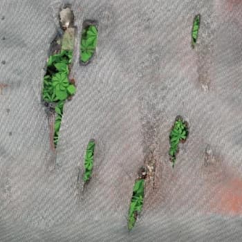 Koreless - Agor Vinyl