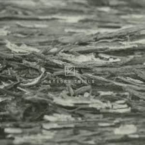 Etym - Trial 02 Vinyl