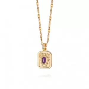 February Birthstone 18ct Gold Plated Necklace BS02_GP