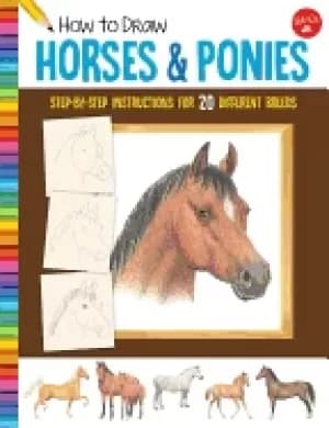 how to draw horses and ponies step by step instructions for 20 different br
