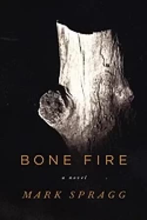 bone fire a novel