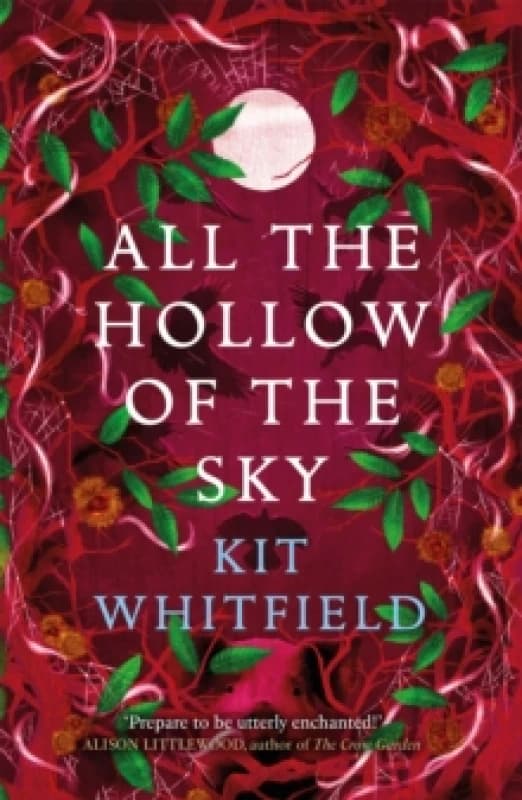 All the Hollow of the Sky : An enthralling novel of fae, folklore and forests Paperback / softback