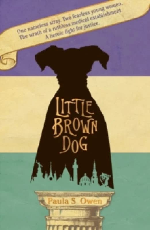 Little Brown Dog Paperback / softback