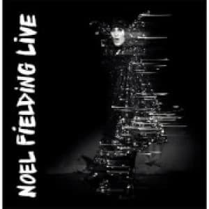 Noel Fielding - Noel Fielding - Live - LP