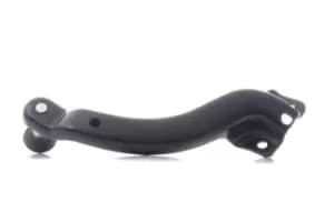 FAST Roller Guide, sliding door OPEL,RENAULT FT95579 7700312370,7700312971