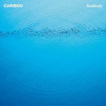 Caribou - Suddenly Vinyl