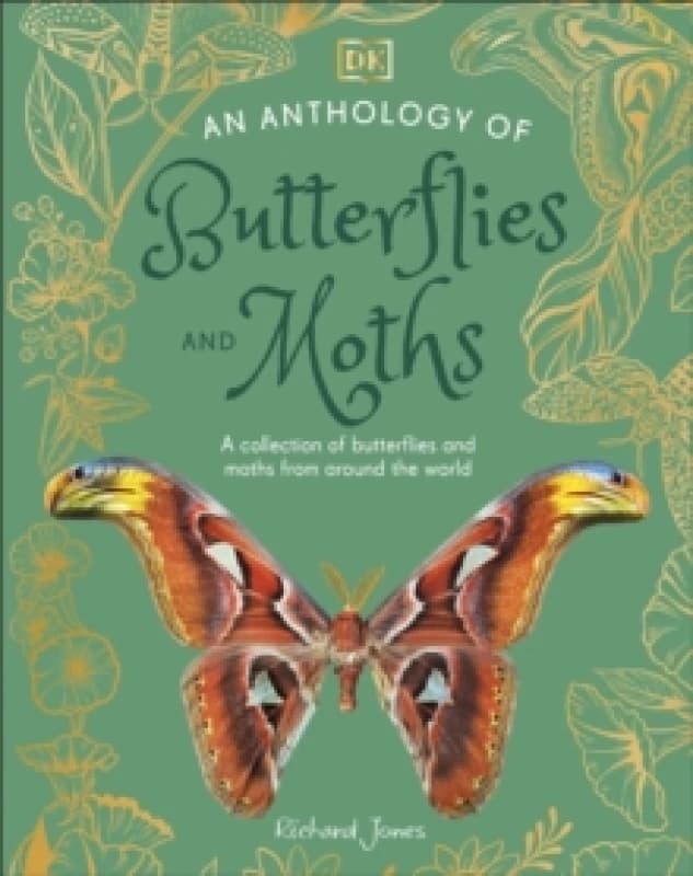 An Anthology of Butterflies and Moths : A Collection of Butterflies and Moths from Around the World Hardback