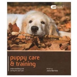 Puppy Care and Training by Julia Barnes Paperback