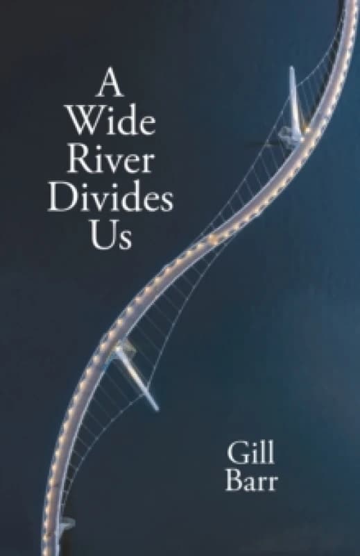 A Wide River Divides Us Paperback / softback
