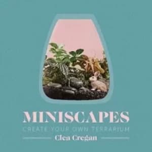 miniscapes create your own terrarium