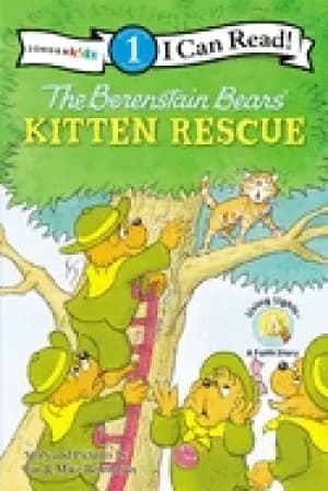 berenstain bears kitten rescue