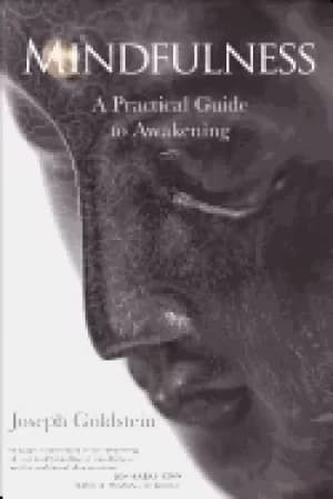 mindfulness a practical guide to awakening