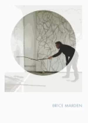 brice marden phaidon focus