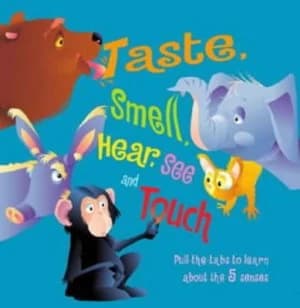 Taste Smell Hear See and Touch by Keith Faulkner and Jonathan Lambert Hardback