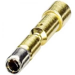 Coninvers 1605481 SF 10KS010 Gold