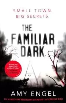 The familiar dark by Amy Engel