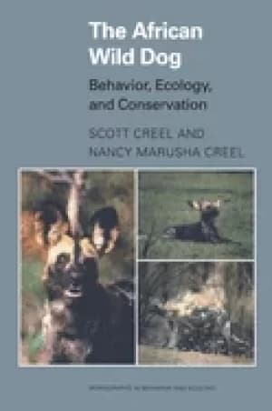 african wild dog behavior ecology and conservation