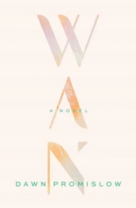 WAN Paperback / softback
