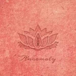 Urban Metta - Volume 2 by Anaamaly CD Album