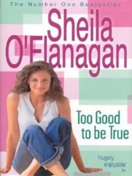 Too Good to Be True by Sheila O Flanagan Hardback
