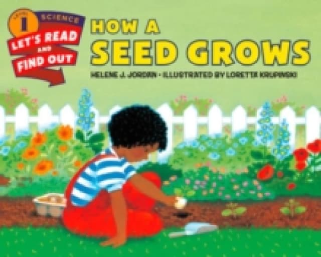 How a Seed Grows Paperback / softback