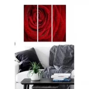 MDF1642970 Multicolor Decorative MDF Painting (3 Pieces)