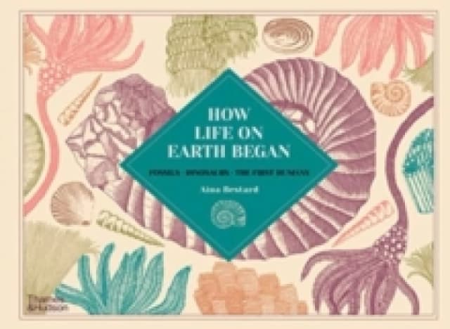 Aina Bestard How Life on Earth Began Book Multi unisex