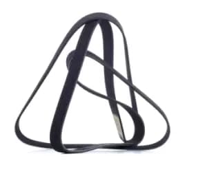 RIDEX V-ribbed belt 305P0109 Serpentine belt,Auxiliary belt MERCEDES-BENZ,MITSUBISHI,E-Klasse Limousine (W211),C-Klasse Limousine (W203)