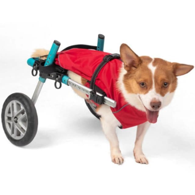 Bunty Downpaw Dog Coat - Adjustable Fleece Lined Jacket With Reflective Piping - Harness Hole - For All Breeds - Small, Red