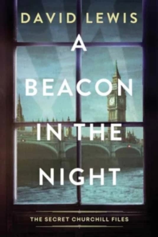 A Beacon in the Night Hardback