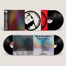 Wilderness of Mirrors