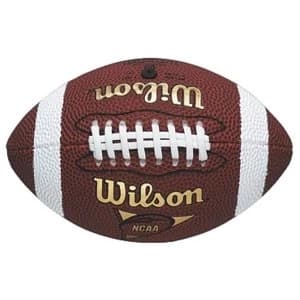 Wilson NFL Micro American Football