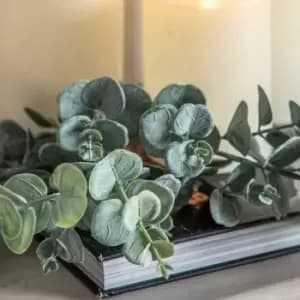 Gallery Interiors Set of 6 Eucalyptus Bush Green