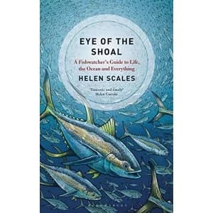 Eye of the Shoal A Fish-watcher's Guide to Life, the Ocean and Everything Paperback 2018