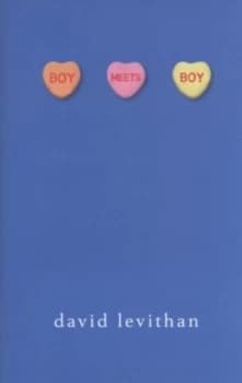Boy Meets Boy by David Levithan Hardback
