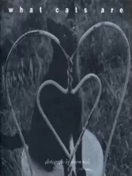 What cats are by Sharon Beals