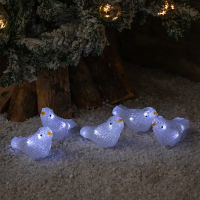 Samuel Alexander Set Of 5 16Cm Light Up Acrylic Christmas Birds With 30 White Leds