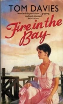 Fire in the Bay by Tom Davies Paperback