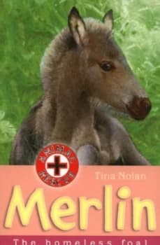 Merlin by Tina Nolan Paperback