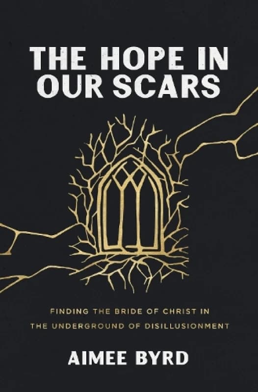 The Hope in Our Scars. Paperback. By Aimee Byrd Books