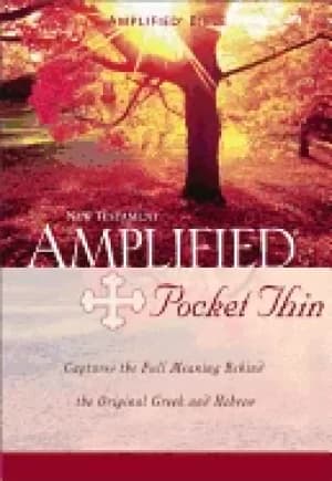 amplified pocket thin new testament