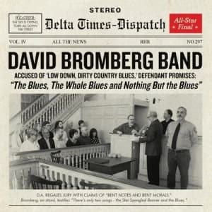 The Blues the Whole Blues and Nothing But the Blues by David Bromberg Band CD Album