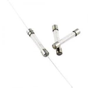 Micro fuse x L 5mm x 30 mm 1.6 A 500 V Medium time lag mT