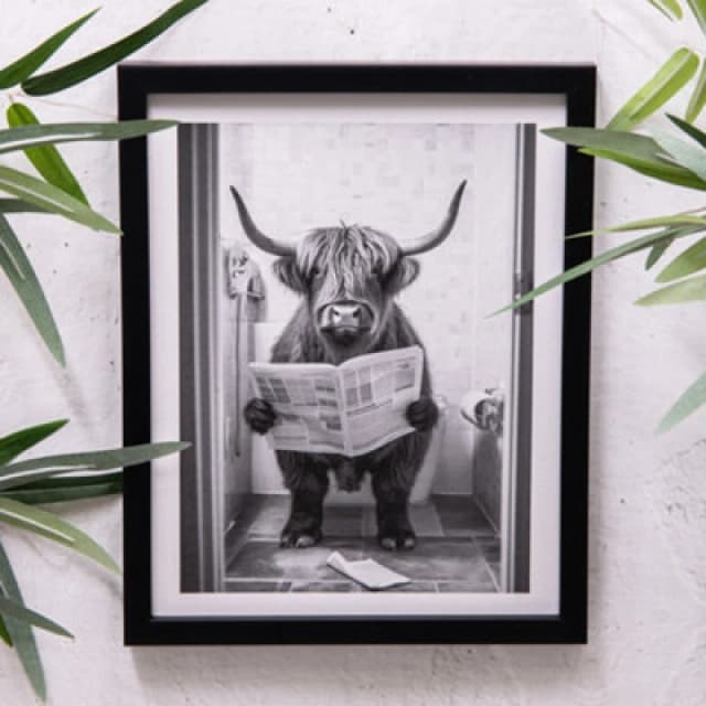 Annibells Black Framed Highland Cow On Toilet (15078)