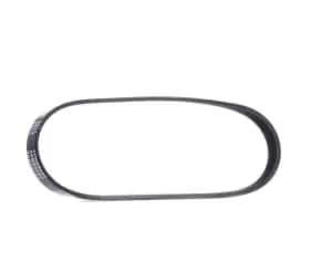 RIDEX V-ribbed belt 305P0117 Serpentine belt,Auxiliary belt FORD,MAZDA,Fiesta Mk5 Schragheck (JH1, JD1, JH3, JD3),MONDEO IV Turnier (BA7),FUSION (JU_)