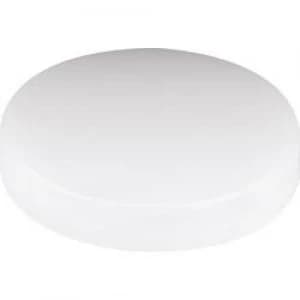 Diffusor Clear Suitable for Reflector 12mm Mentor 2450.0300