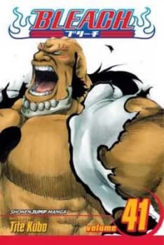 Bleach. Volume 41 by Tite Kubo Book