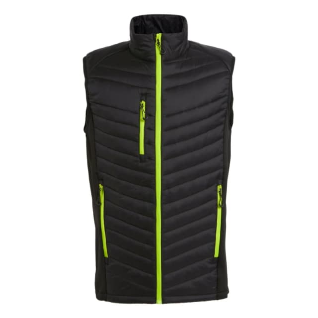 Regatta Professional Mens Quilted Hybrid Gilet in Pale Green Size: Small Pale Green Male S